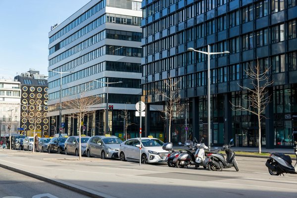 Le rôle des populations locales dans la lutte contre la déforestation